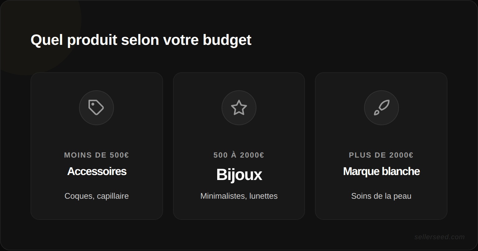 Choix du type de produit selon le budget de lancement : moins de 500€ pour les accessoires, 500 à 2000€ pour les bijoux, plus de 2000€ pour la marque blanche